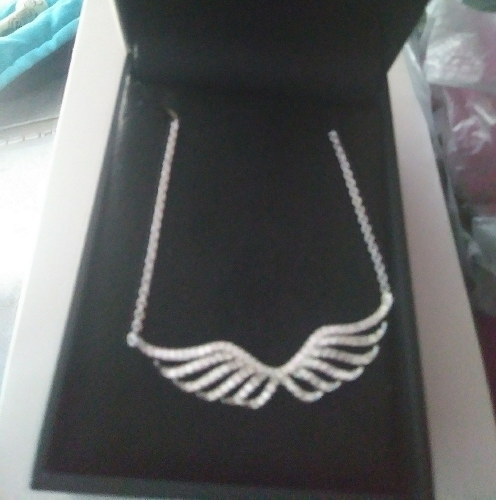 Beautiful wing neclace